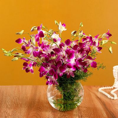 Stunning Purple Orchid Bunch