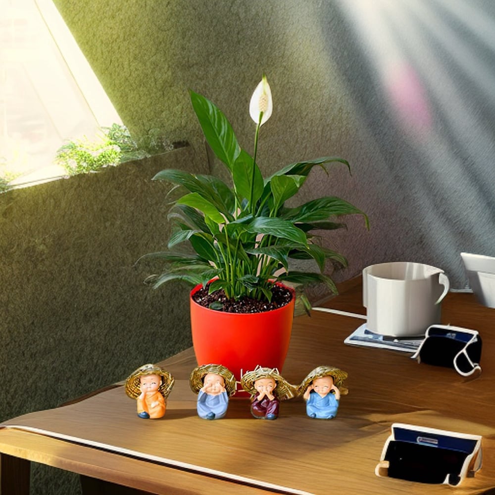  Pleasing Peace Lily with Cute  Monks
